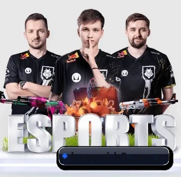 规模扩大