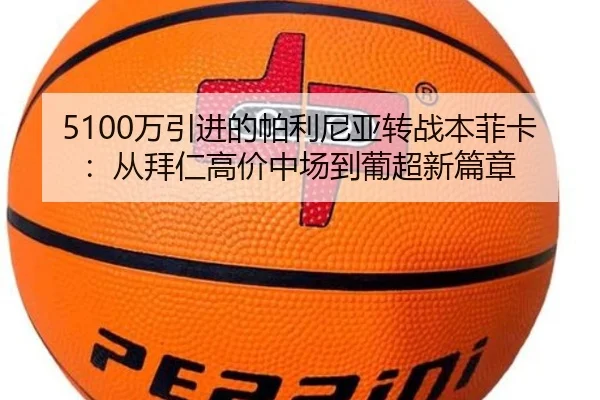5100万引进的帕利尼亚转战本菲卡：从拜仁高价中场到葡超新篇章
